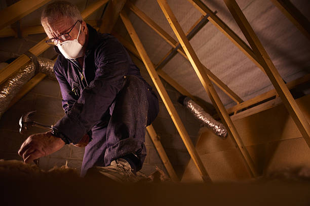 Best Crawl Space Insulation  in New Hackensack, NY